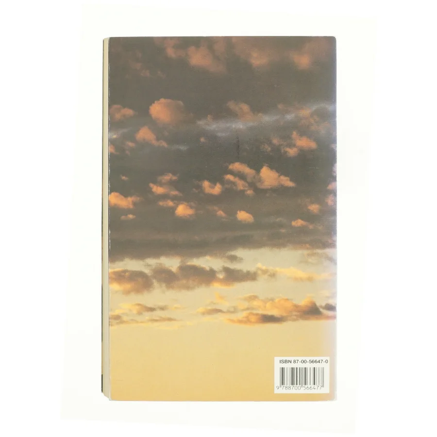 Indian summer : roman af Jens Christian Grøndahl (Bog)