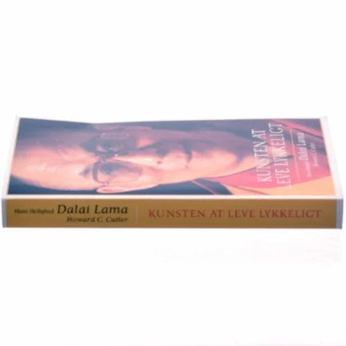 Kunsten at leve lykkeligt (Bog)