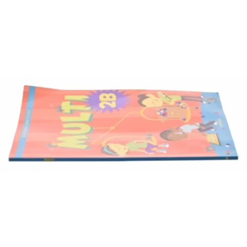 Multi 2B af Bo Kristensen (Bog)