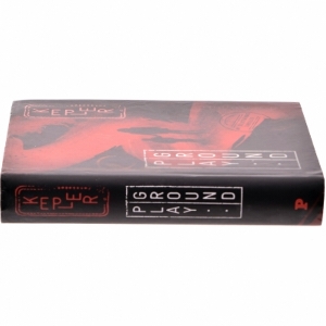 Playground : spændingsroman af Lars Kepler (Bog)