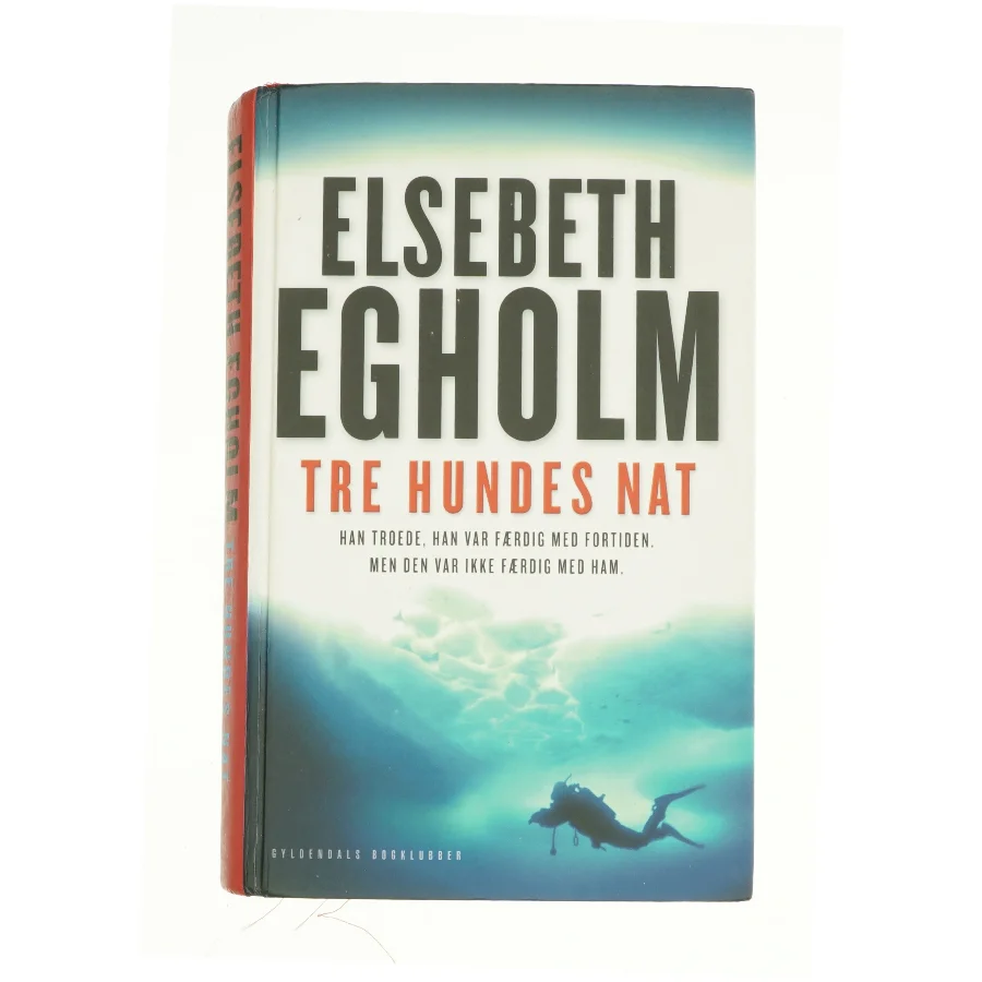 Tre hundes nat af Elsebeth Egholm (Bog)
