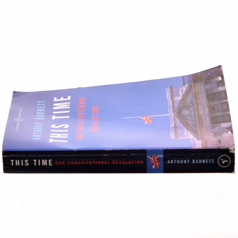 This time : our constitutional revolution af Anthony Barnett (Bog)