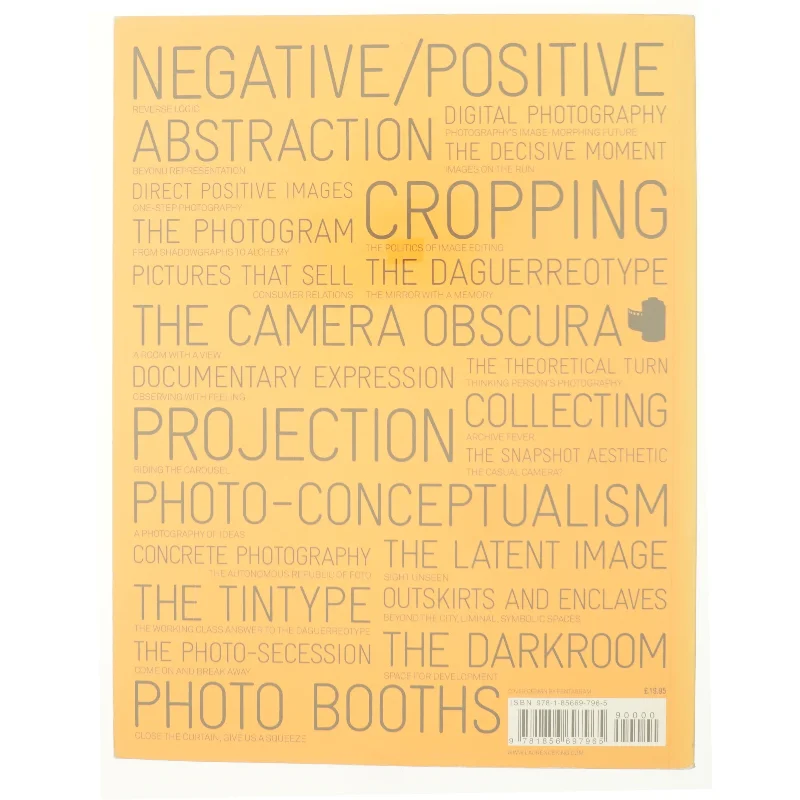 100 Ideas That Changed Photography af Mary Warner Marien (Bog)