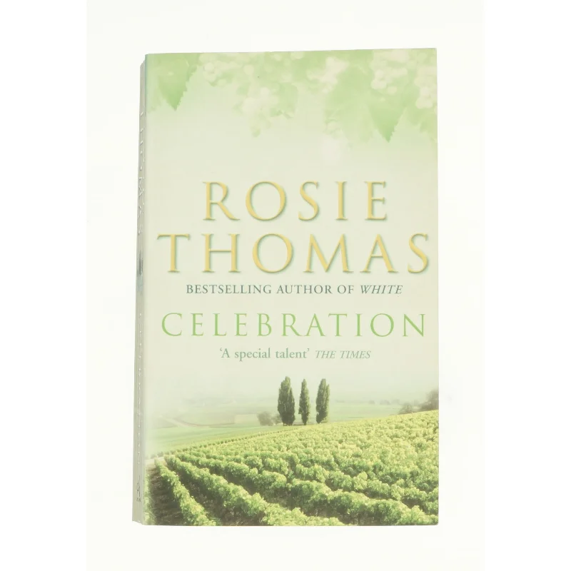 Three Mothers, Three Daughters: Palestinian Women\'s Stories (Literature of the Middle East) (Bog)