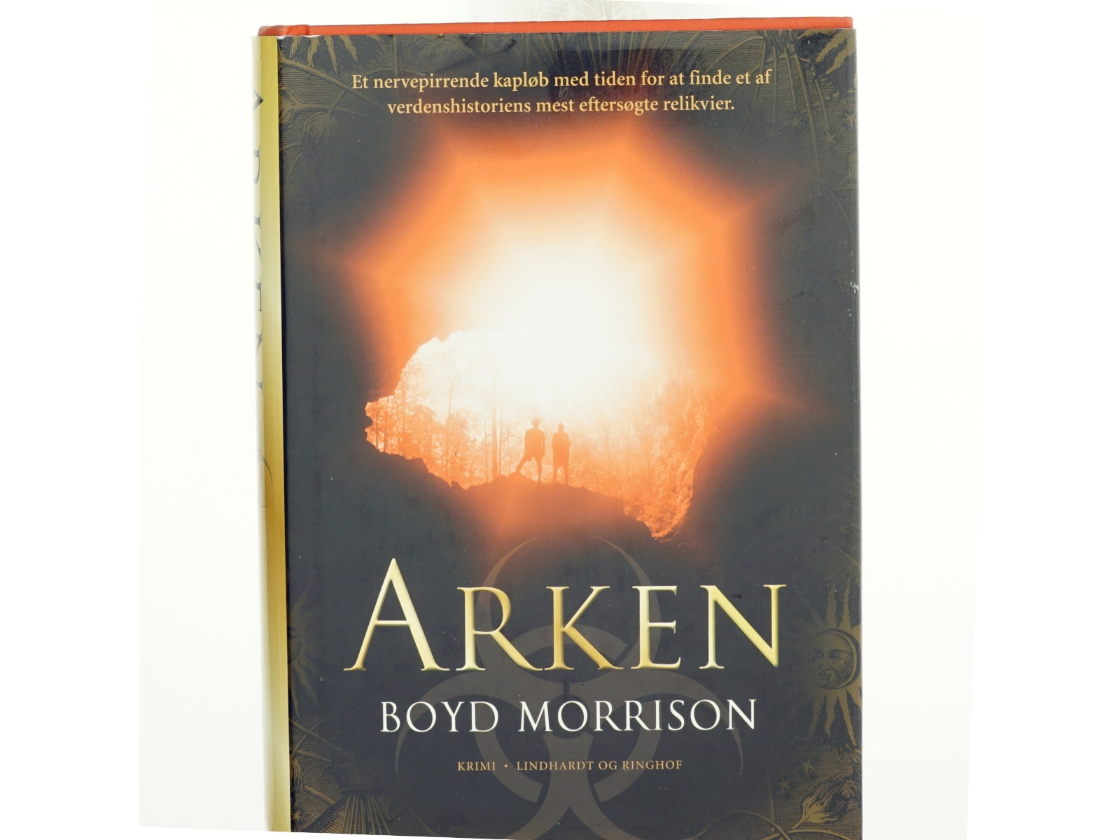 Arken : roman af Boyd Morrison (Bog)
