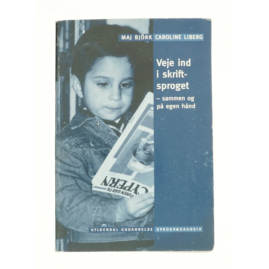 Veje ind i skriftsproget (Bog)