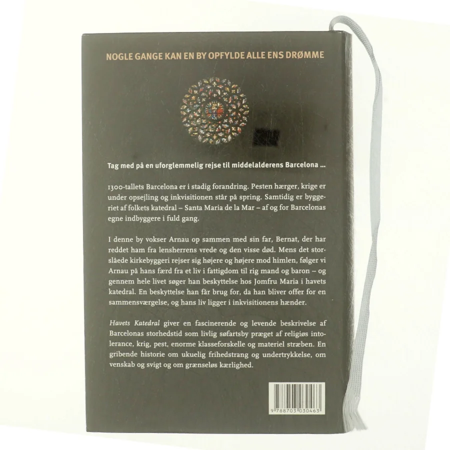 Havets katedral af Ildefonso Falcones (Bog)