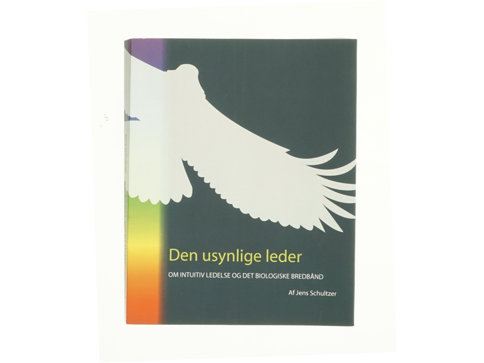 Den usynlige leder af Jens Schultzer (Bog)
