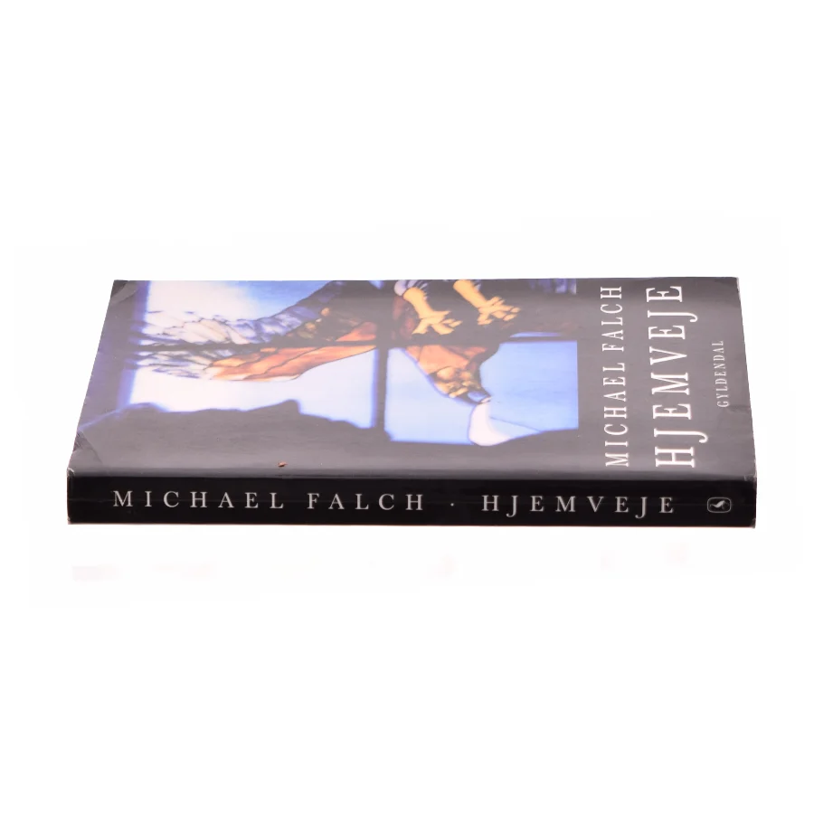 Hjemveje af Michael Falch (Bog)