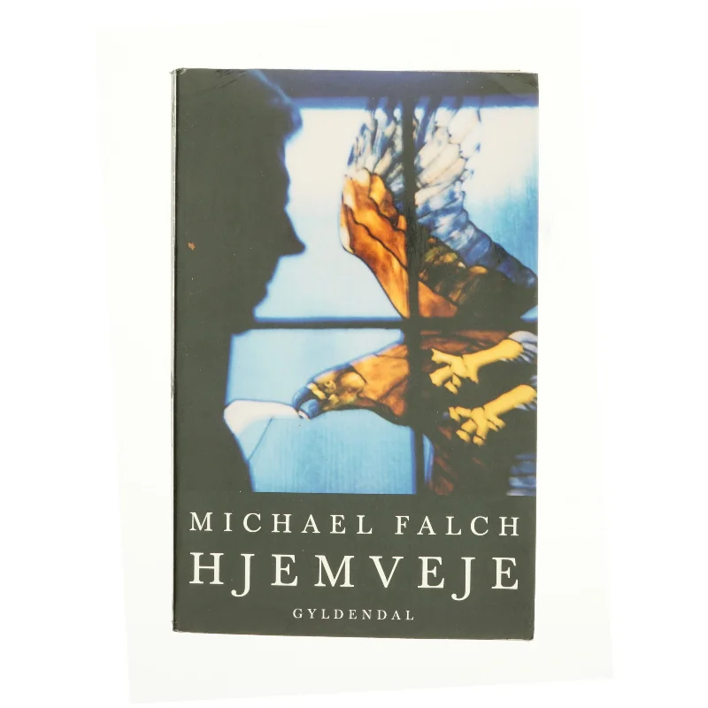 Hjemveje af Michael Falch (Bog)