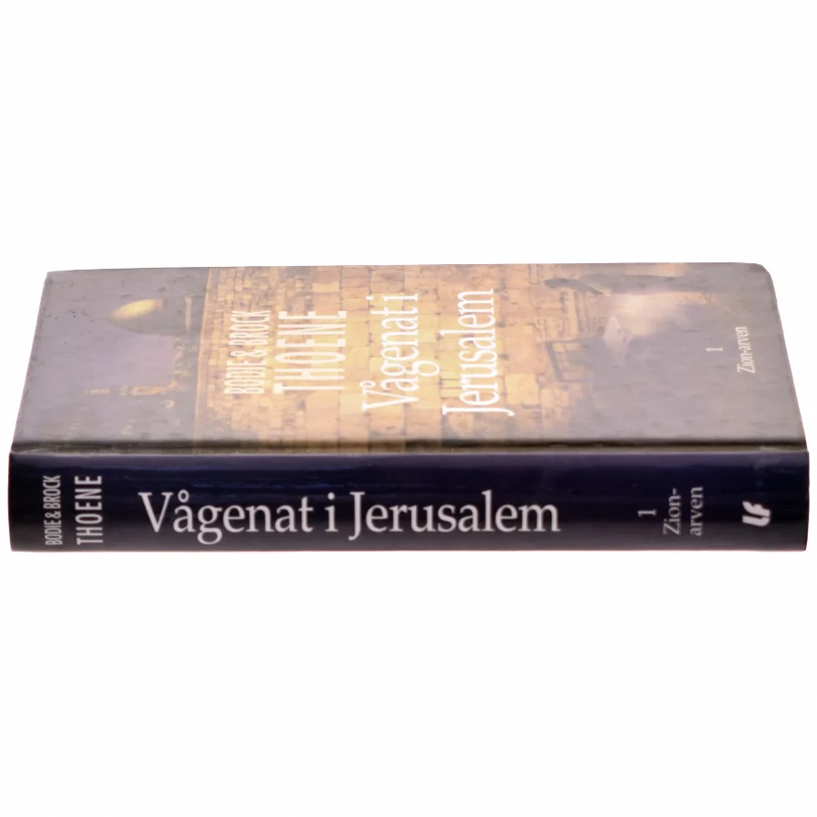 Vågenat i Jerusalem (Bog)