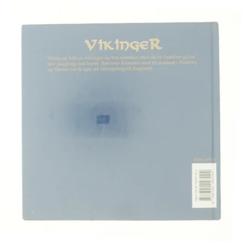 Vikinger af Majken Bloch Skipper (Bog)