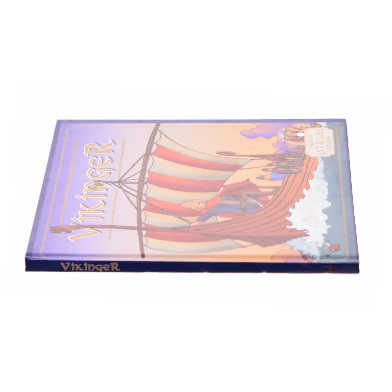 Vikinger af Majken Bloch Skipper (Bog)