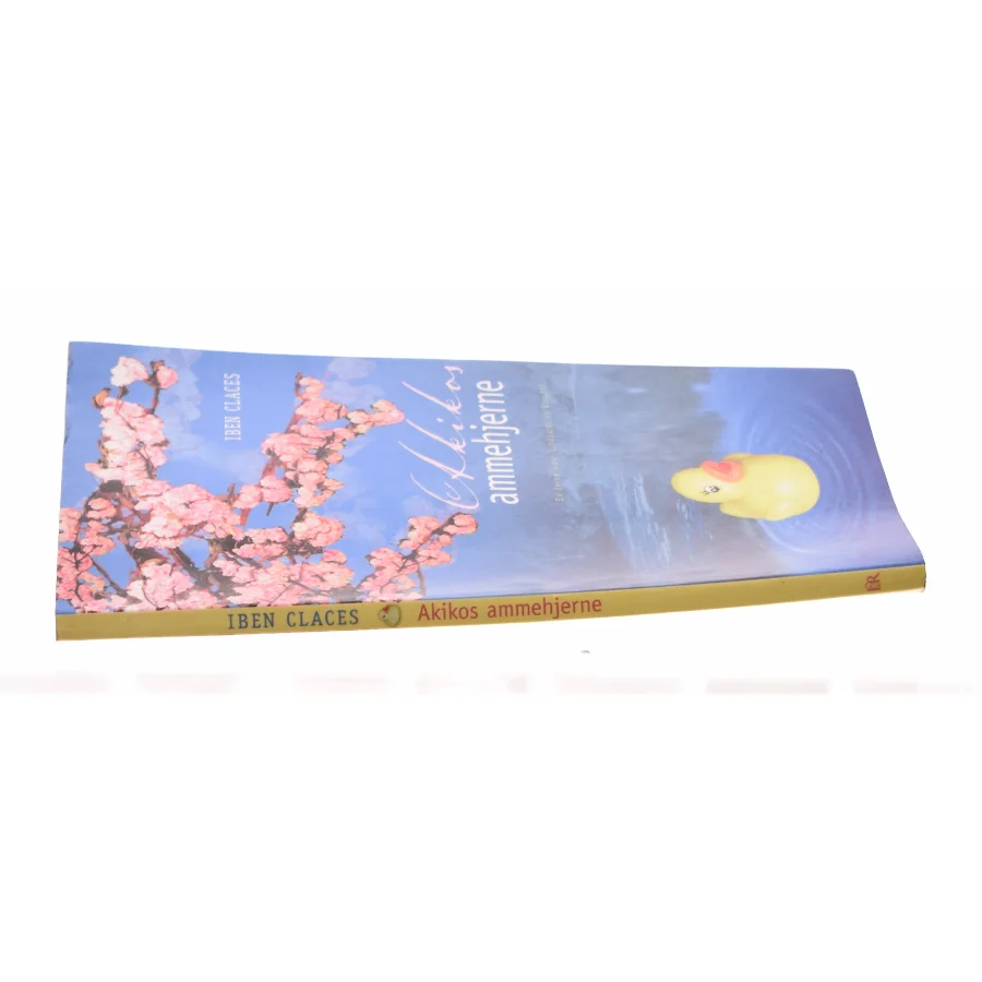 Akikos ammehjerne af Iben Claces (Bog)