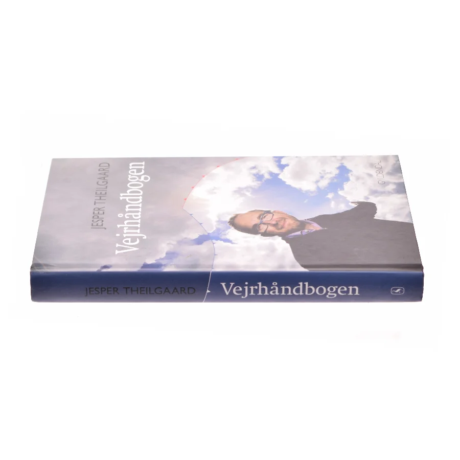 Vejrhåndbogen af Jesper Theilgaard (Bog)