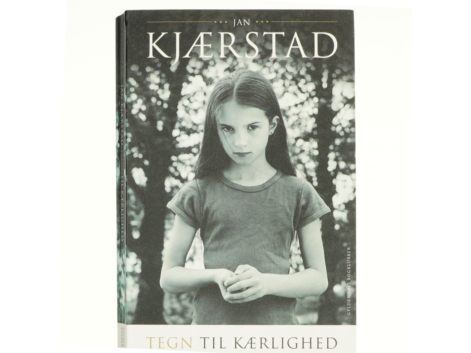 Tegn til kærlighed : roman af Jan Kjærstad (Bog)