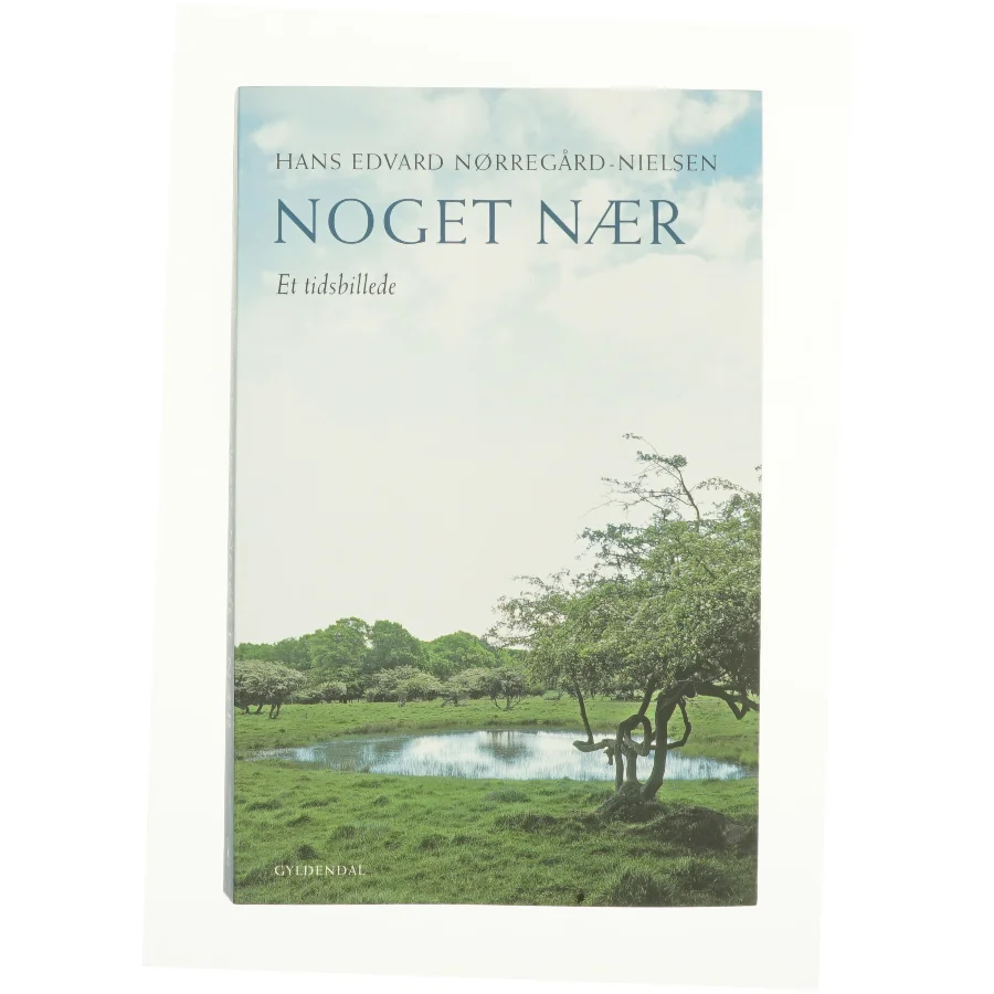 Noget nær af Hans Edvard Nørregård-Nielsen (Bog)