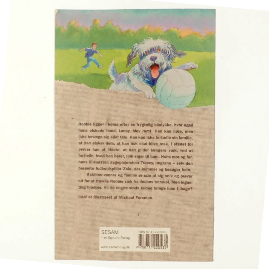 Cool! af Michael Morpurgo (Bog)