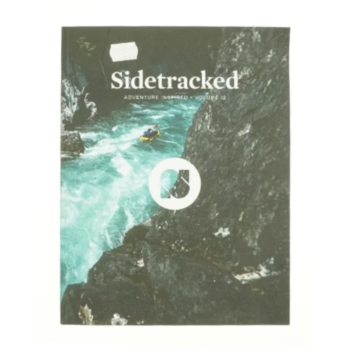 Sidetracked (Bog)