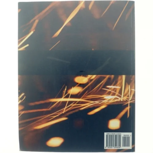 Ng-book af Ari Lerner (Bog)