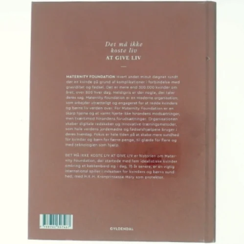 Det må ikke koste liv at give liv : Maternity Foundation - fra lille dansk NGO til global digital frontløber i kamp for kvinders sundhed af Kirsten Weiss (Bog)
