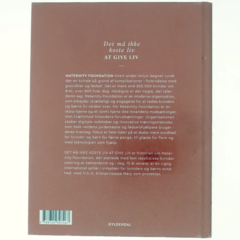 Det må ikke koste liv at give liv : Maternity Foundation - fra lille dansk NGO til global digital frontløber i kamp for kvinders sundhed af Kirsten Weiss (Bog)
