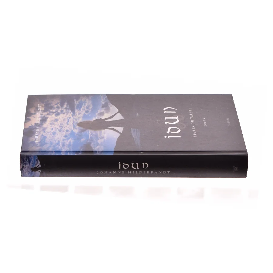 iound - Sagaen om Valmar af Johanne Hildebrandt (Bog)