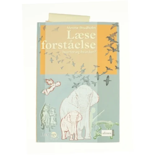 Læseforståelse af Merete Brudholm (Bog)