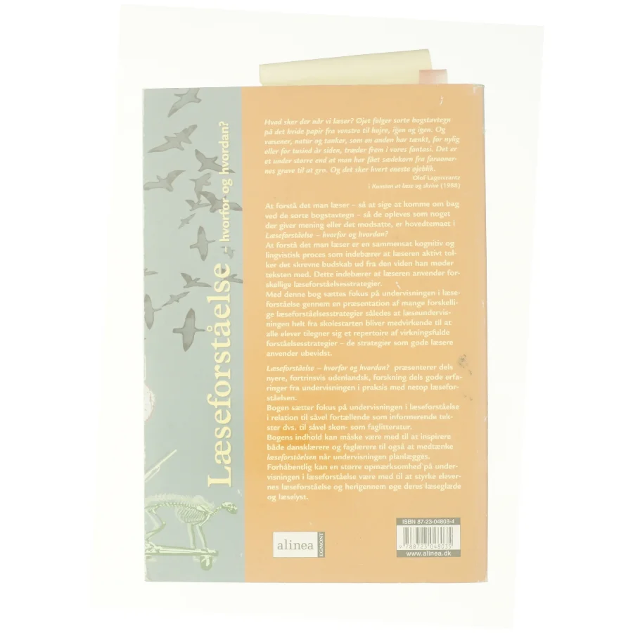 Læseforståelse af Merete Brudholm (Bog)