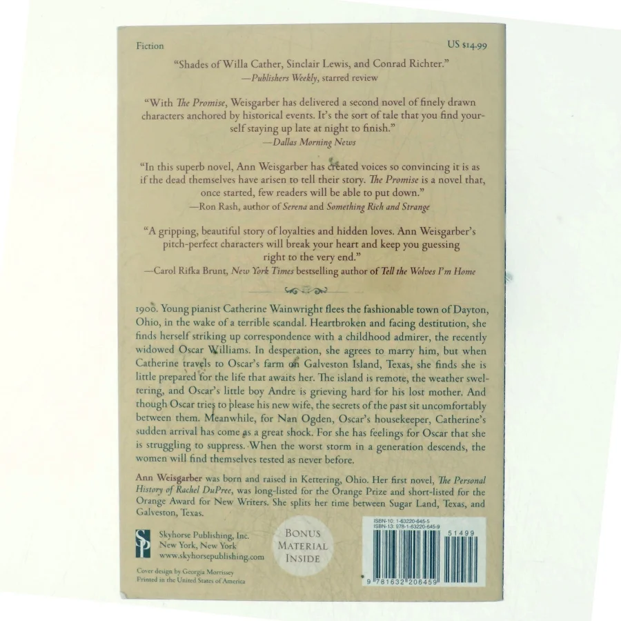The Promise af Ann Weisgarber (Bog)