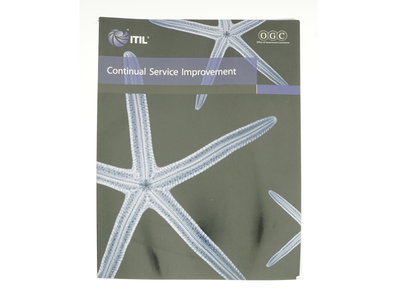 Continual Service Improvement af George Spalding (Bog)