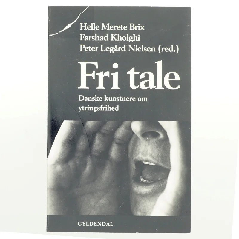Fri tale : danske kunstnere om ytringsfrihed (Bog)