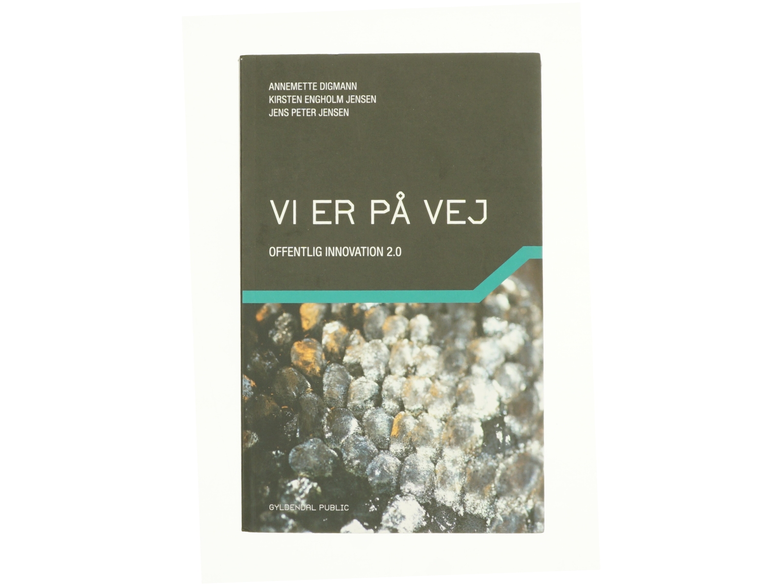 Vi er på vej af Jens Peter Jensen, Annemette Digmann, Kirsten Engholm Jensen (Bog)