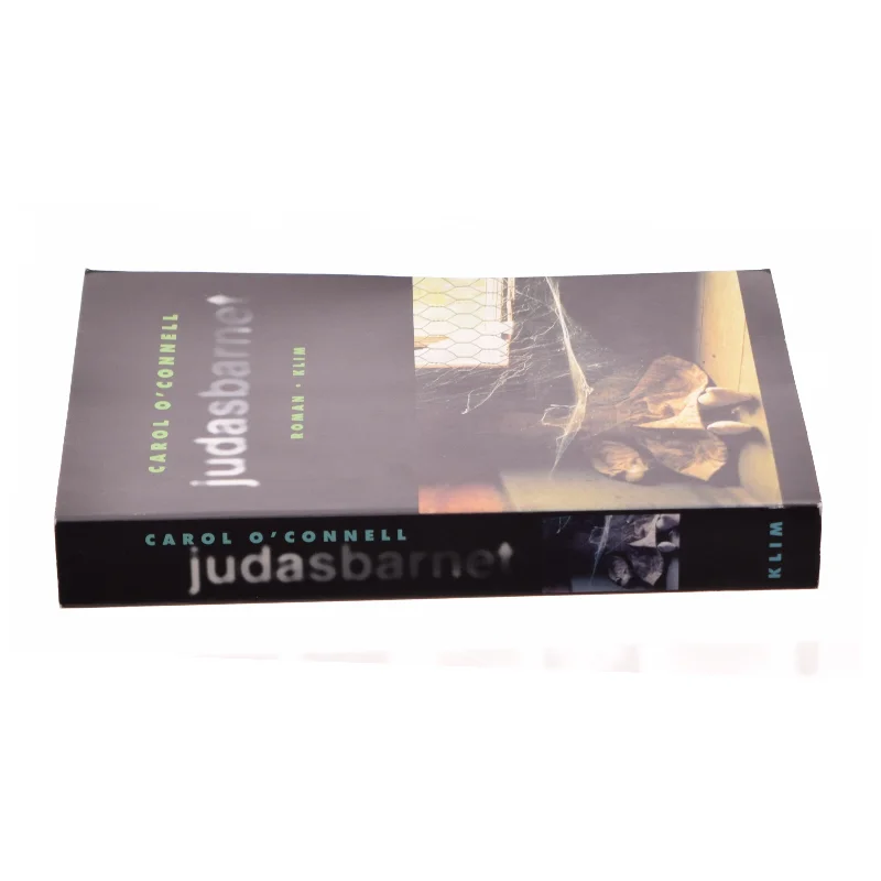Judasbarnet af Carol O'Connell (bog)