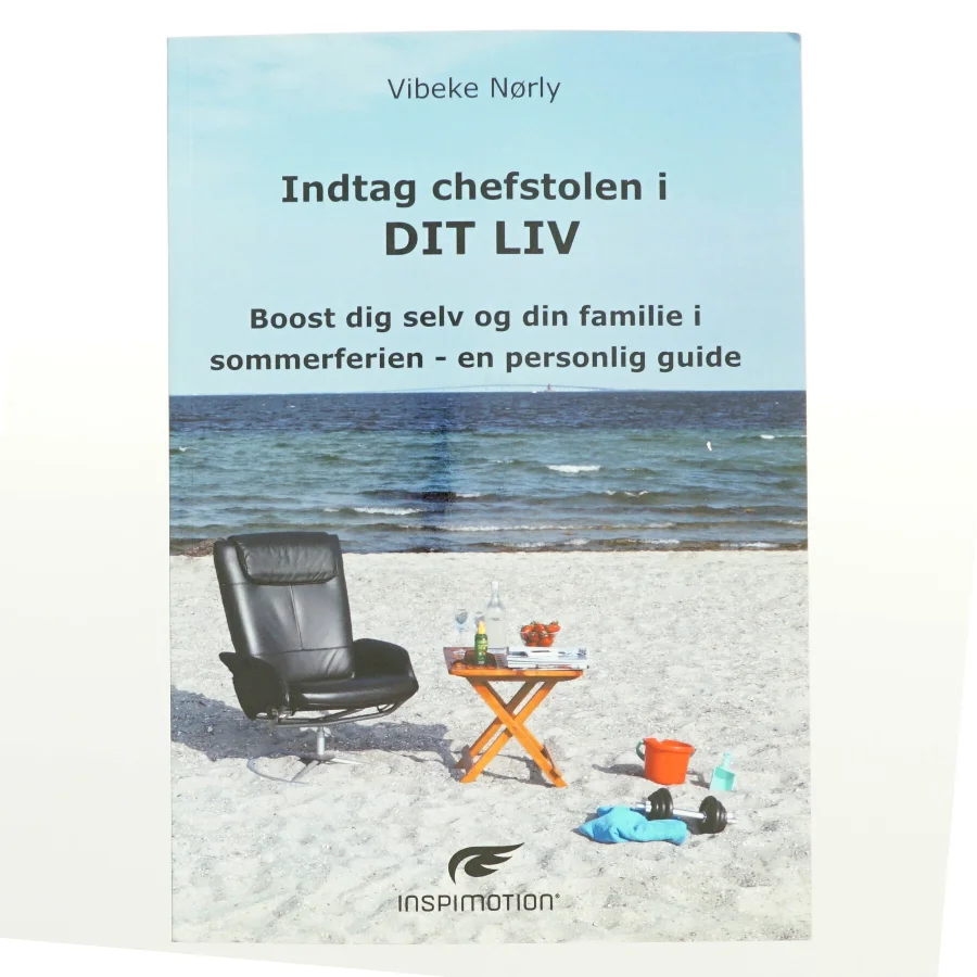 Indtag chefstolen i dit liv : boost dig selv og din familie i sommerferien - en personlig guide af Vibeke Nørly (Bog)