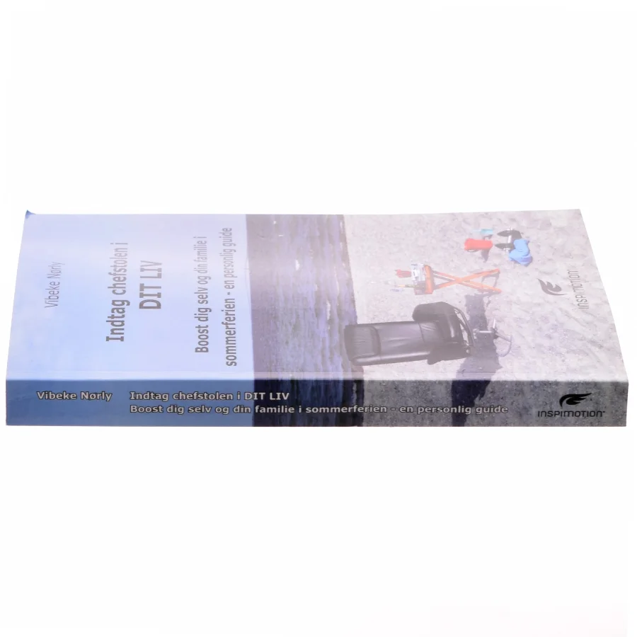 Indtag chefstolen i dit liv : boost dig selv og din familie i sommerferien - en personlig guide af Vibeke Nørly (Bog)