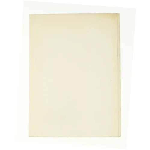 Små glimt af store stjerne af I. Blicher-Hansen