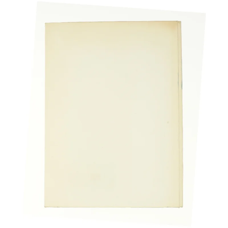 Små glimt af store stjerne af I. Blicher-Hansen