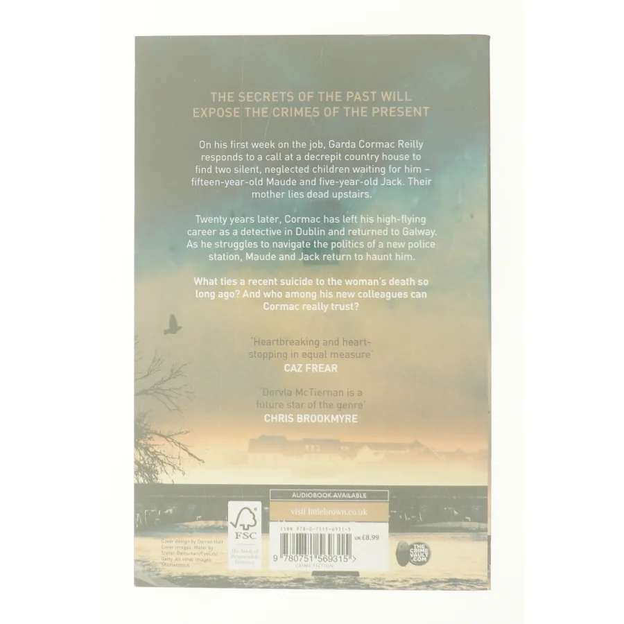 The Ruin af Dervla McTiernan (Bog)