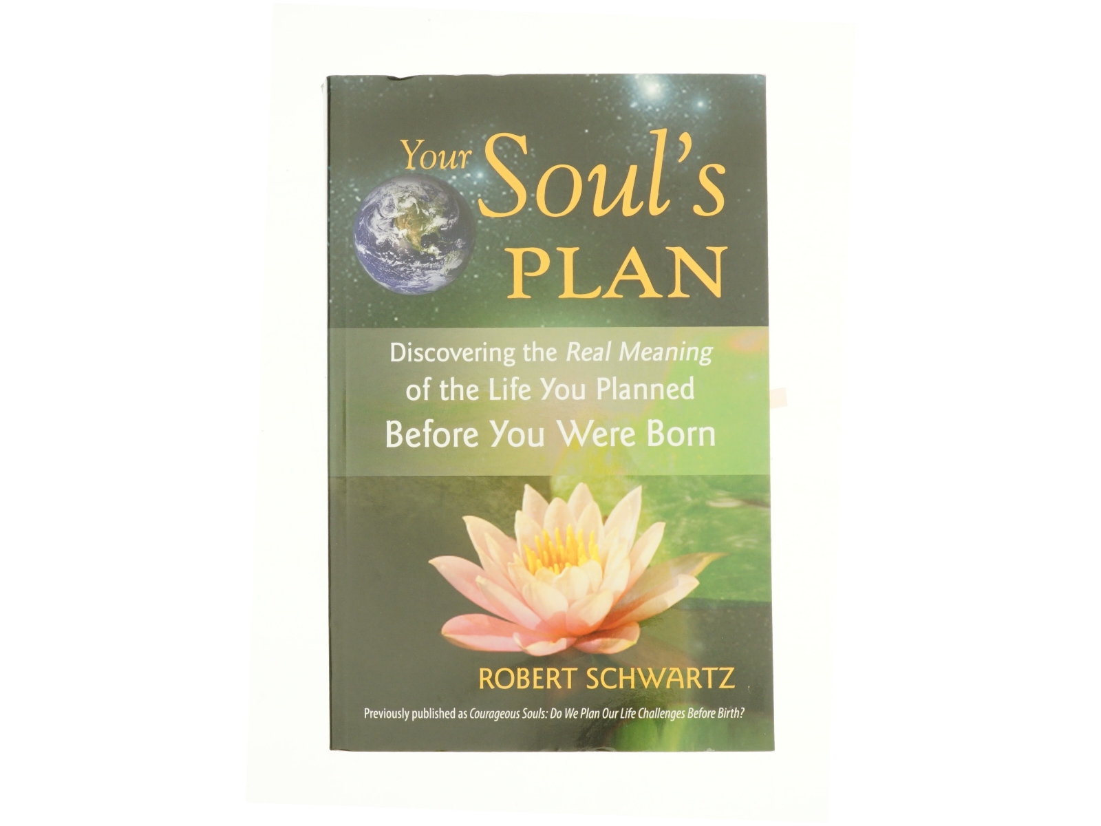 Your Soul's Plan af Robert Schwartz (Bog)