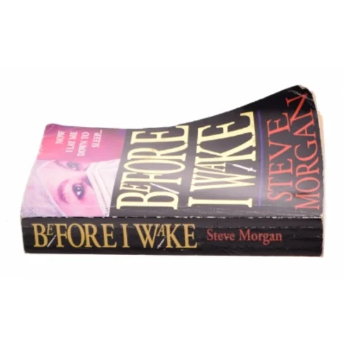 Before I Wake af Morgan, Steve (Bog)