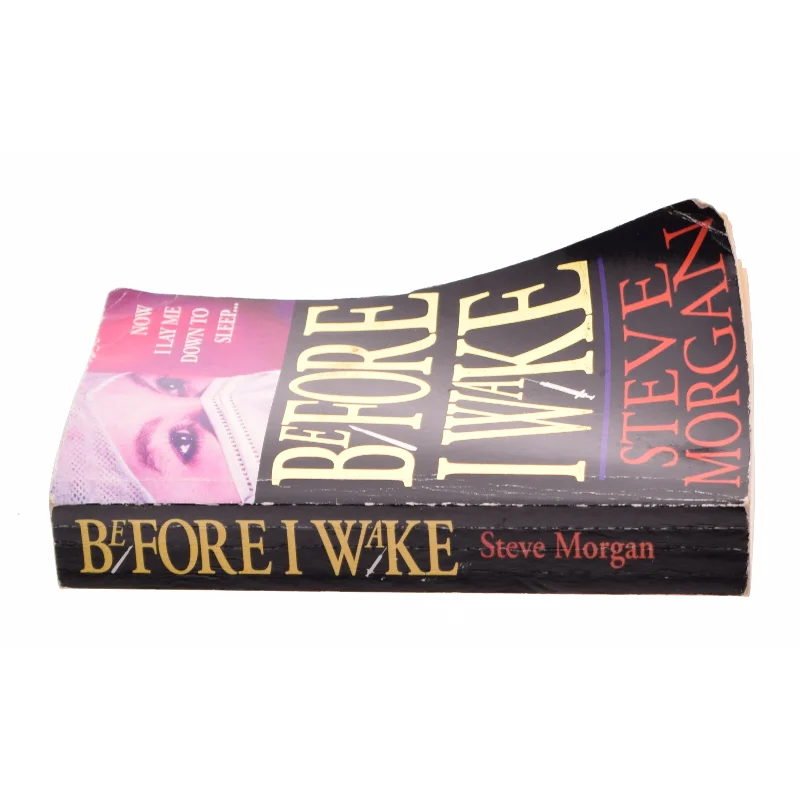 Before I Wake af Morgan, Steve (Bog)