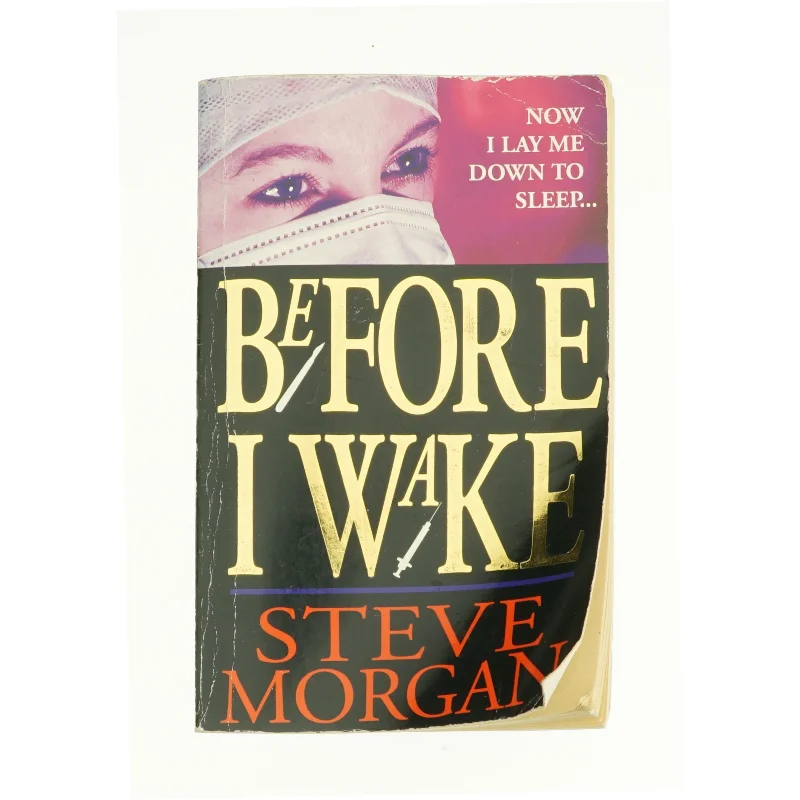 Before I Wake af Morgan, Steve (Bog)