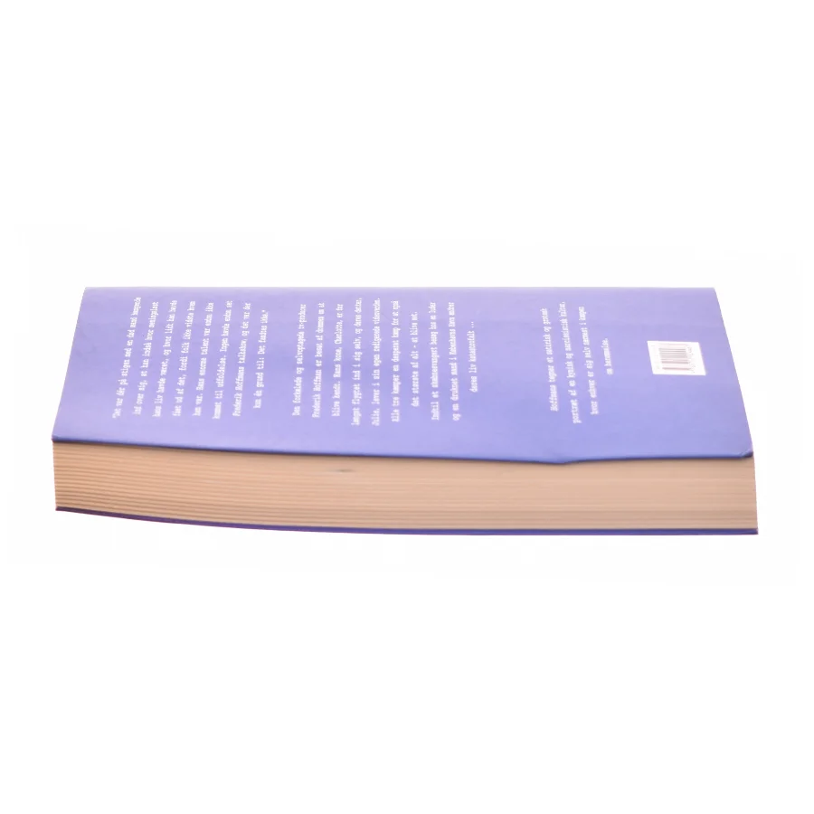 Hoffmans : roman af Morten Sabroe (Bog)