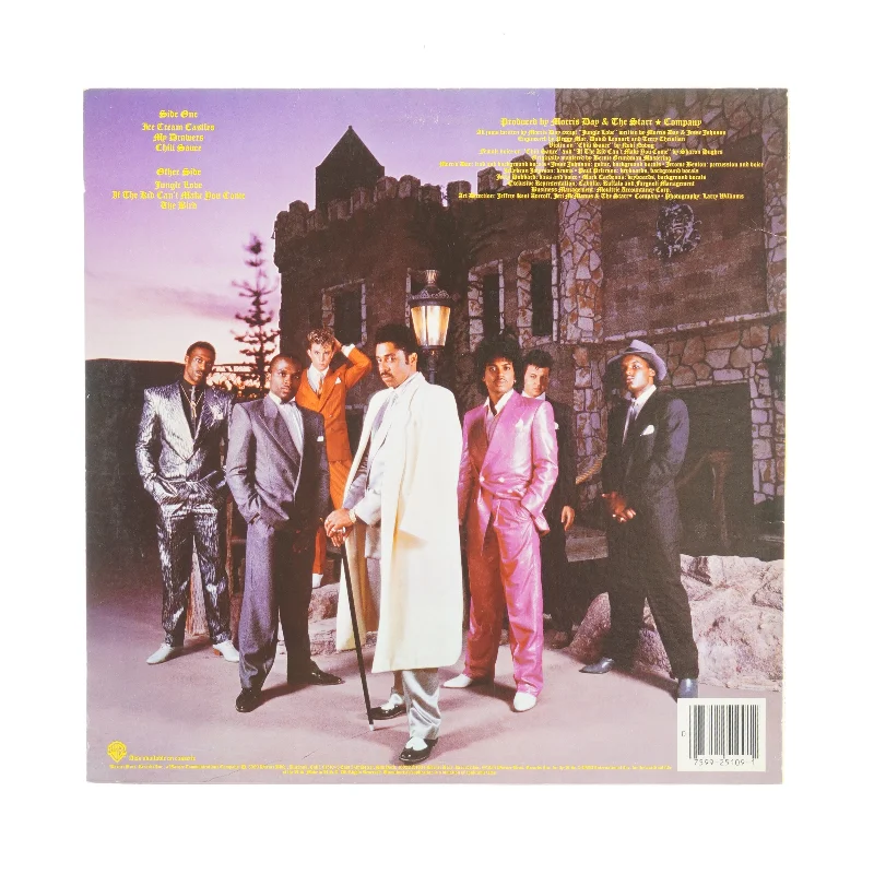 Ice Creamcastle The time Vinylplade