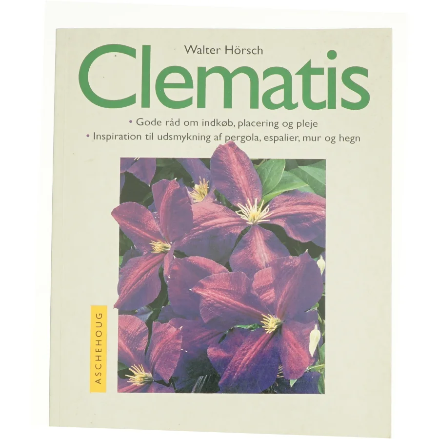 Clematis (Bog)