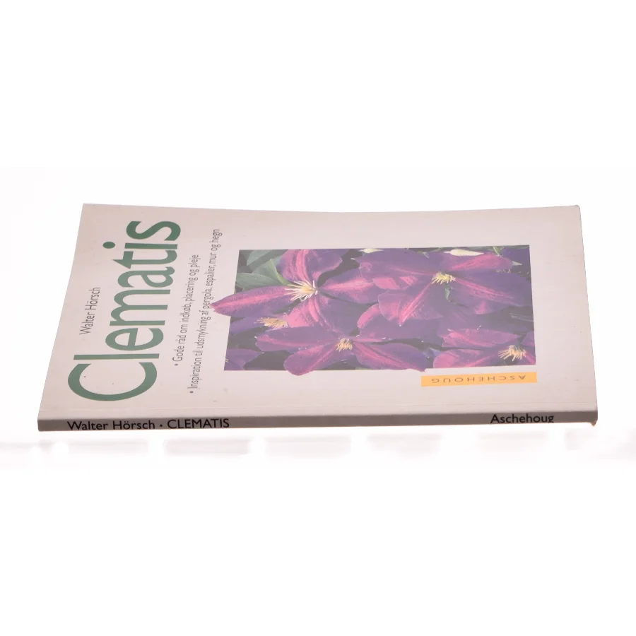 Clematis (Bog)
