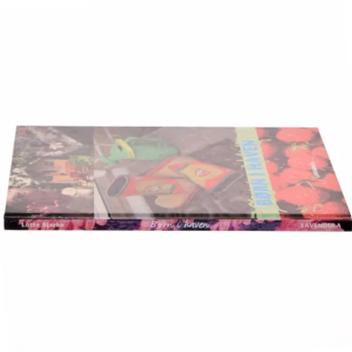 Børn i haven af Lotte Bjarke, Havens Dag (Bog)