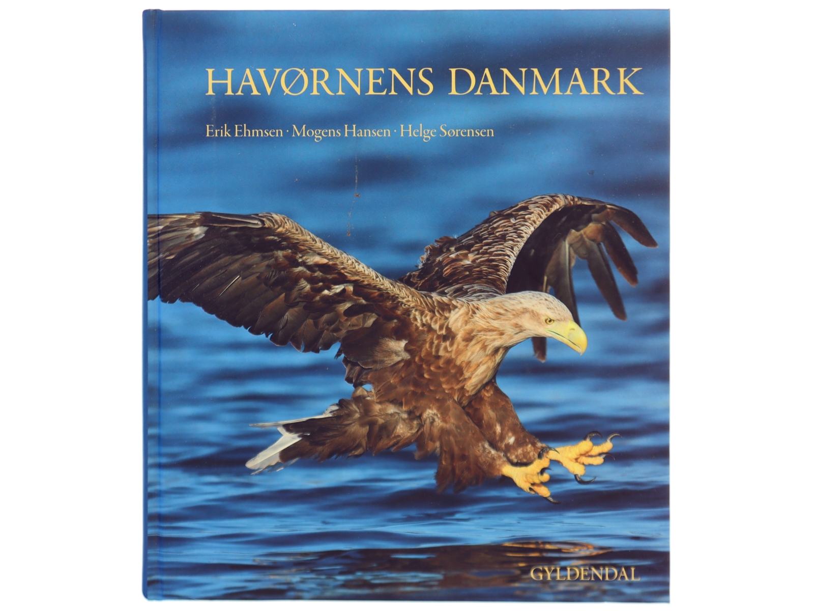 Havørnens Danmark af EhmsenErik (Bog)