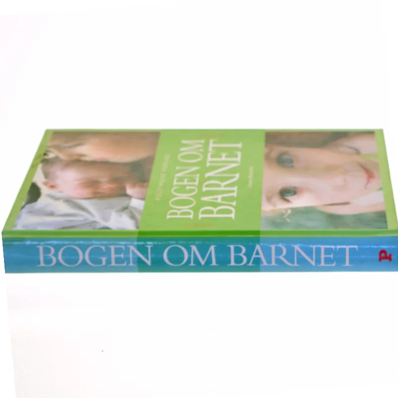 Bogen om barnet af Vibeke Manniche (Bog)